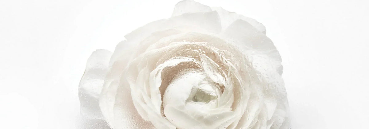 Dehydrated Skin